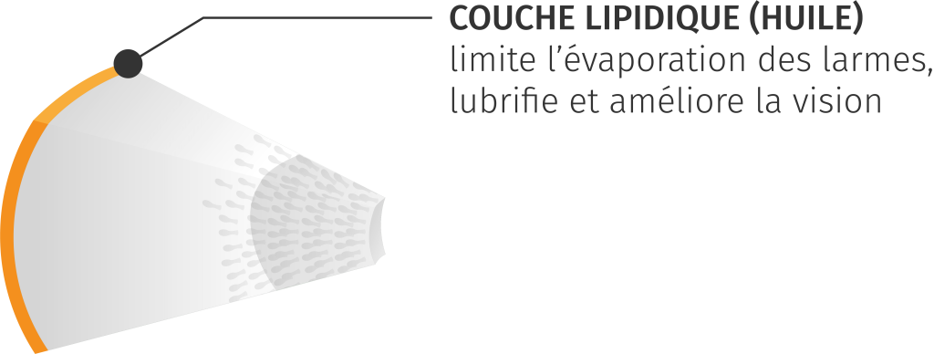 couches interferometrie meibographie clignement