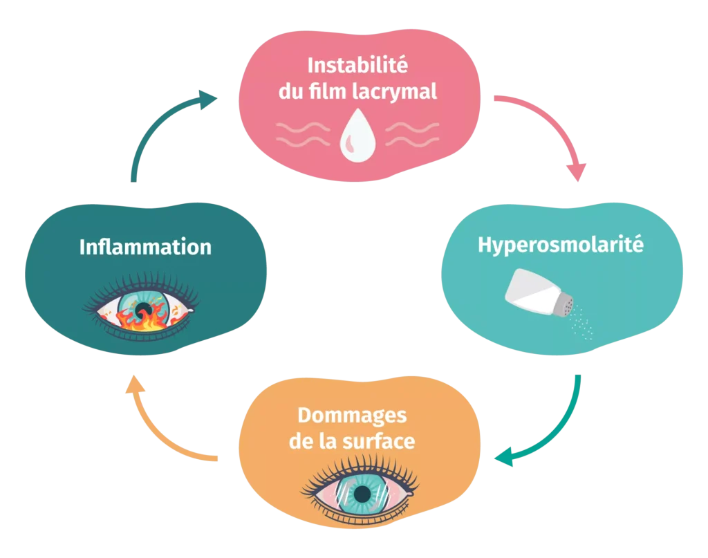 cercle viscieux